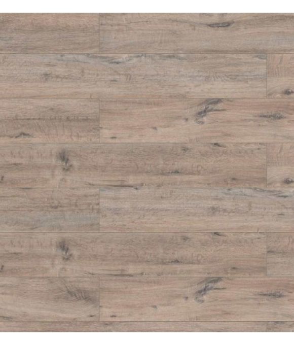 CLASSEN ADVENTURE 8MM WINDSOR OAK