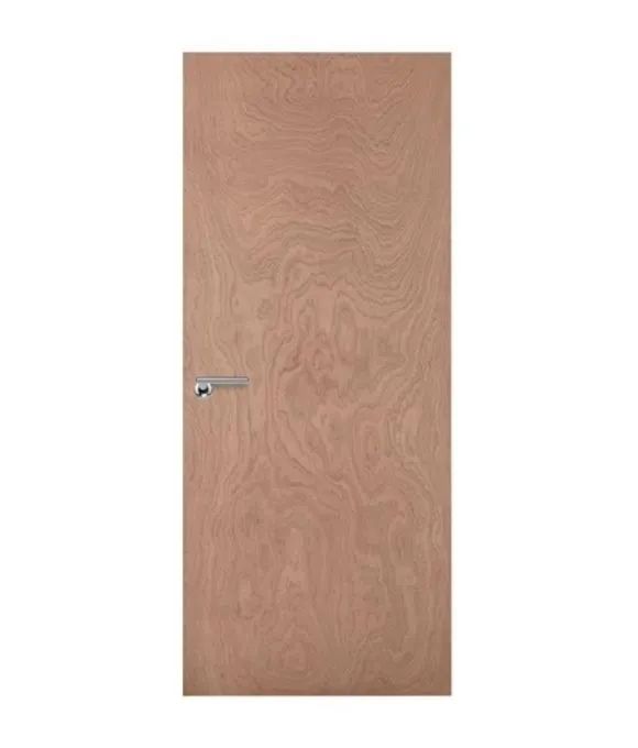 INTERNAL PLY FD30 FIRE DOOR