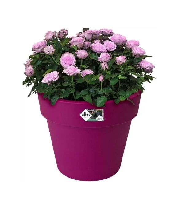 ELHO GB TOP PLANTER 30 CHERRY RED