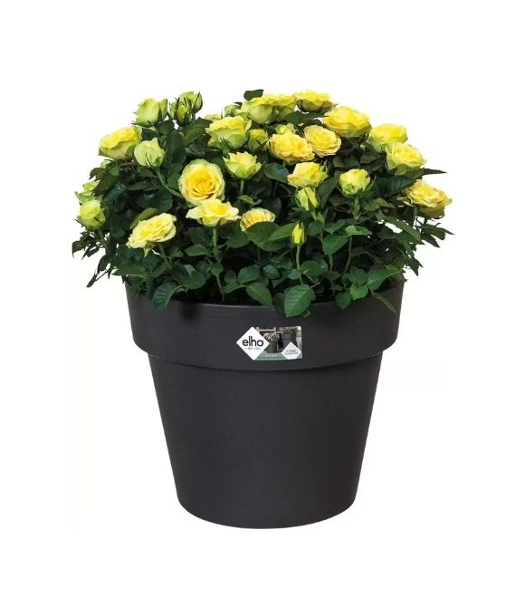 ELHO GB TOP PLANTER 30 LIVING BLACK 