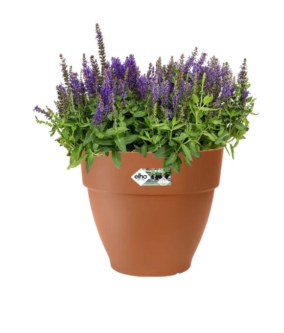 ELHO VIBIA CAMPANA 30 TERRA