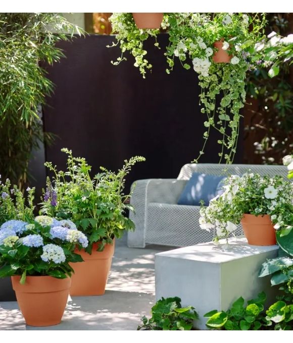 ELHO VIBIA CAMPANA 30 TERRA