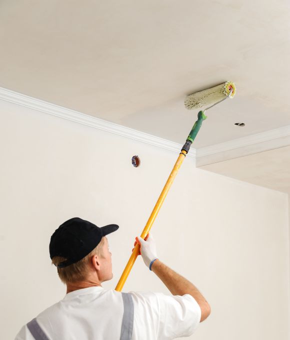 Wall & Ceiling Paints