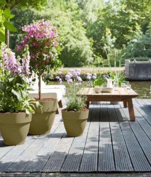 How to keep your garden clean and tidy