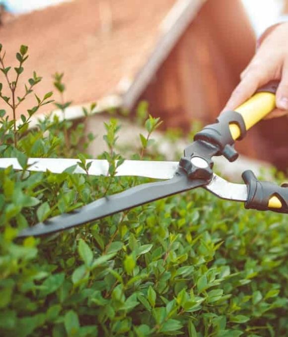 Garden Tools 