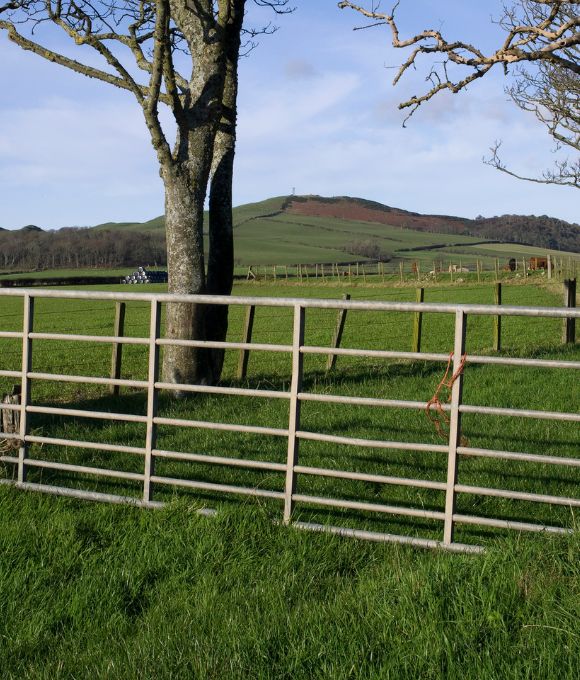 Gates