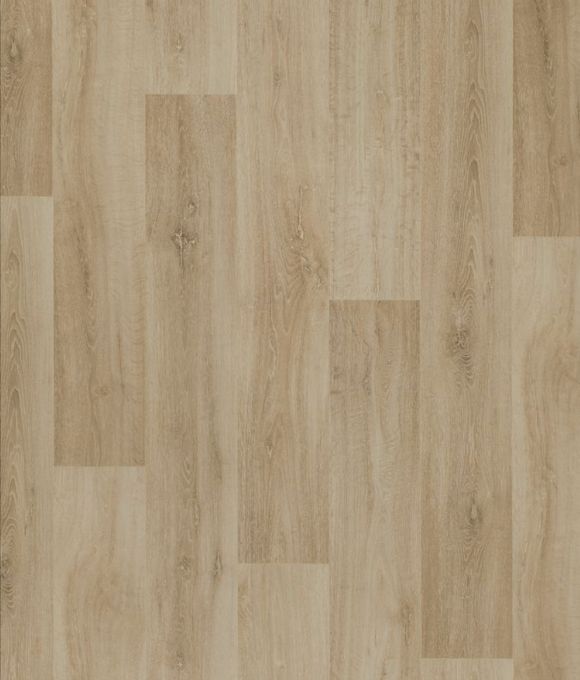 Plank