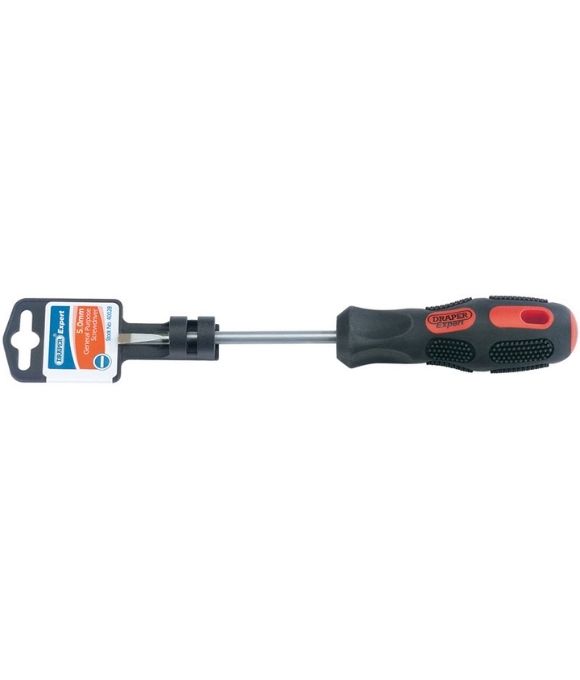 DRAPER EXPERT PLAIN SLOT PARALLEL TIP SCREWDRIVER 5X100MM
