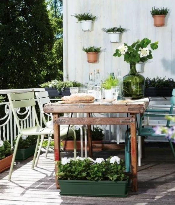 Garden Plant Health