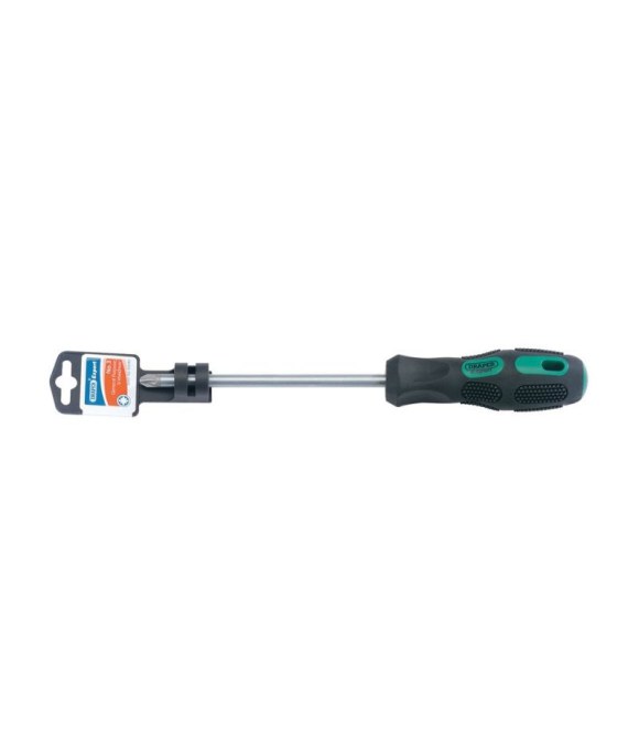 DRAPER EXPERT PZTYPE SCREWDRIVER NO.2X100MM