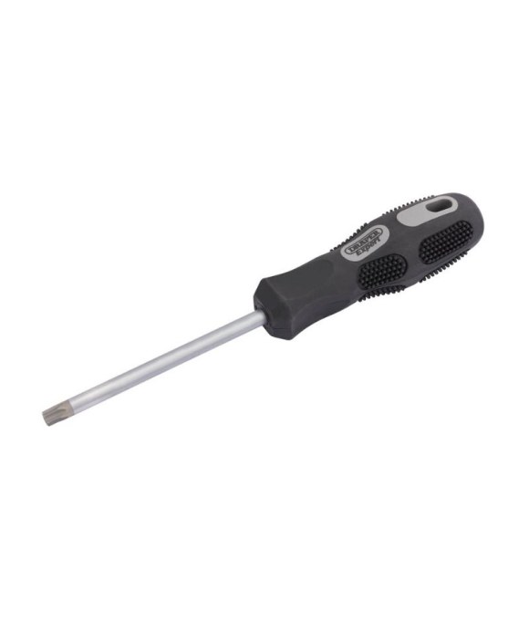 DRAPER EXPERT TX-STAR DRIVER T40X100