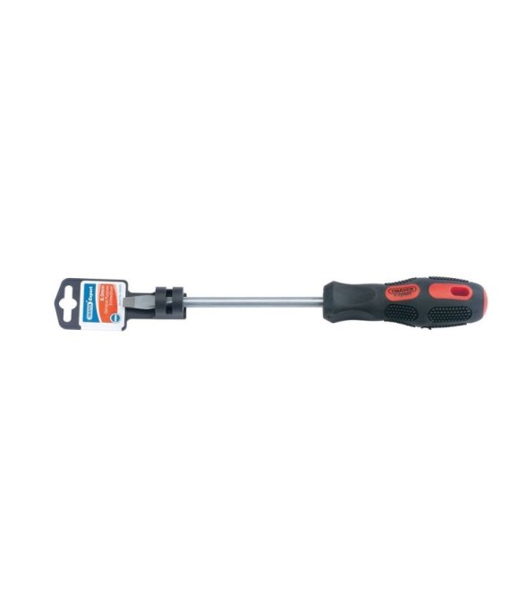 DRAPER EXPERT PLAIN SLOT FLARED TIP SCREWDRIVER 6X100MM