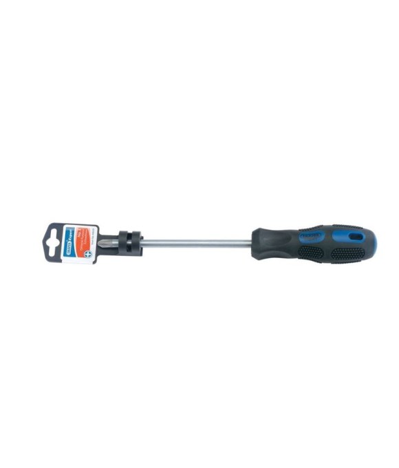 DRAPER EXPERT CROSS SLOT SCREWDRIVER NO.2X100MM