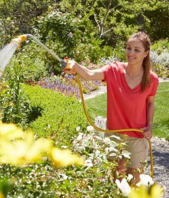Watering