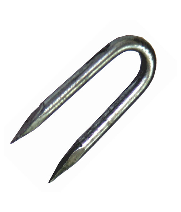 FENCING STAPLES GALVANISED 40MM 1KG 